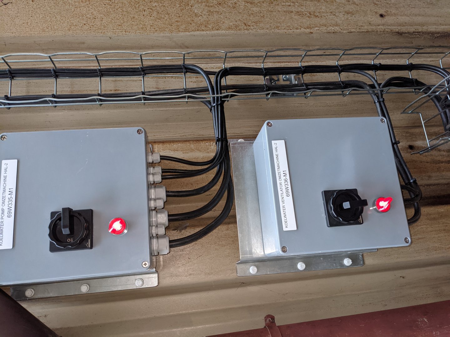 PXL 20210825 083259686